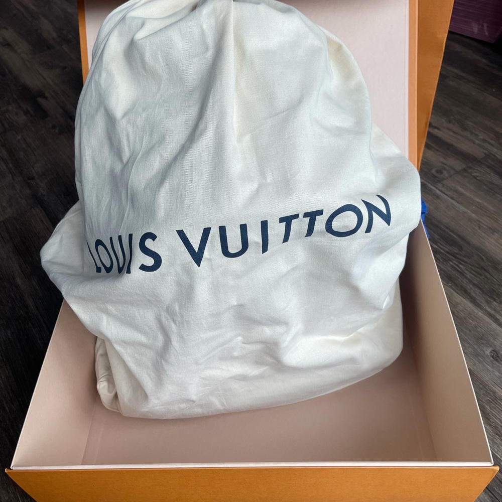 LV Backpack